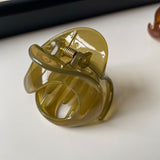 Minimalist Elegant Jelly Hair Claw Clip