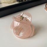 Minimalist Elegant Jelly Hair Claw Clip