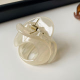 Minimalist Elegant Jelly Hair Claw Clip