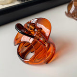 Minimalist Elegant Jelly Hair Claw Clip